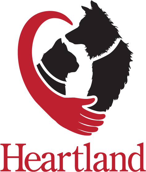 Heartland Animal Hospital - Heartland Animal Hospital Wichita (500x725), Png Download