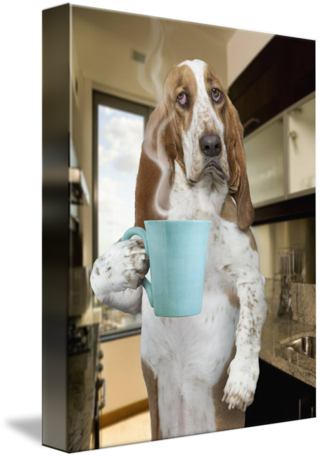 "morning Coffee Basset Hound" By John Lund, - Basset Hounds And Coffee (455x650), Png Download