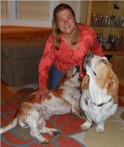 Elisa Skop - Cocker Spaniel (820x490), Png Download