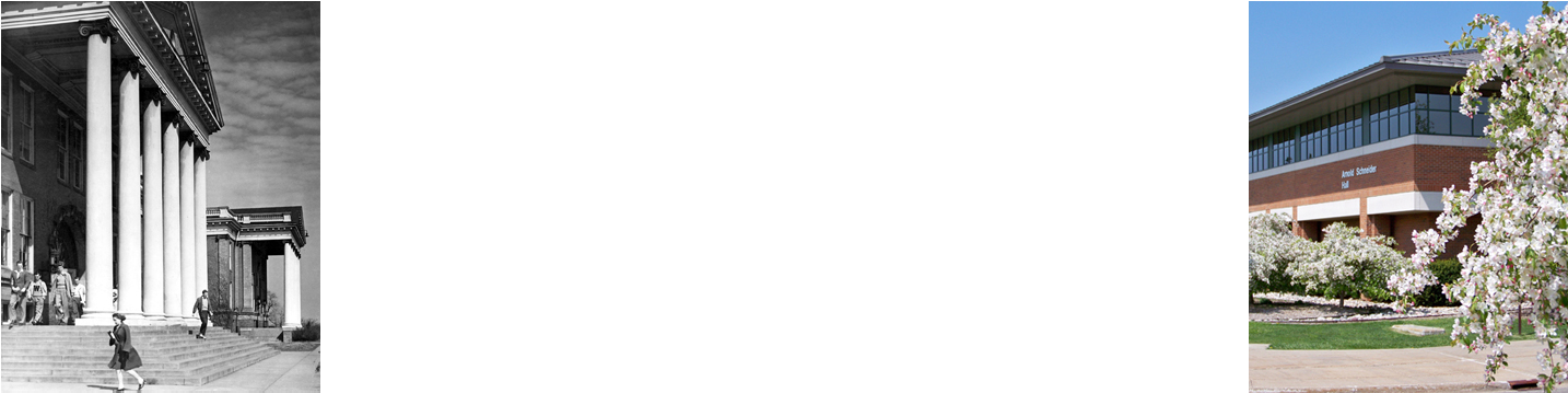 Background Test2 - Shirt (1433x430), Png Download