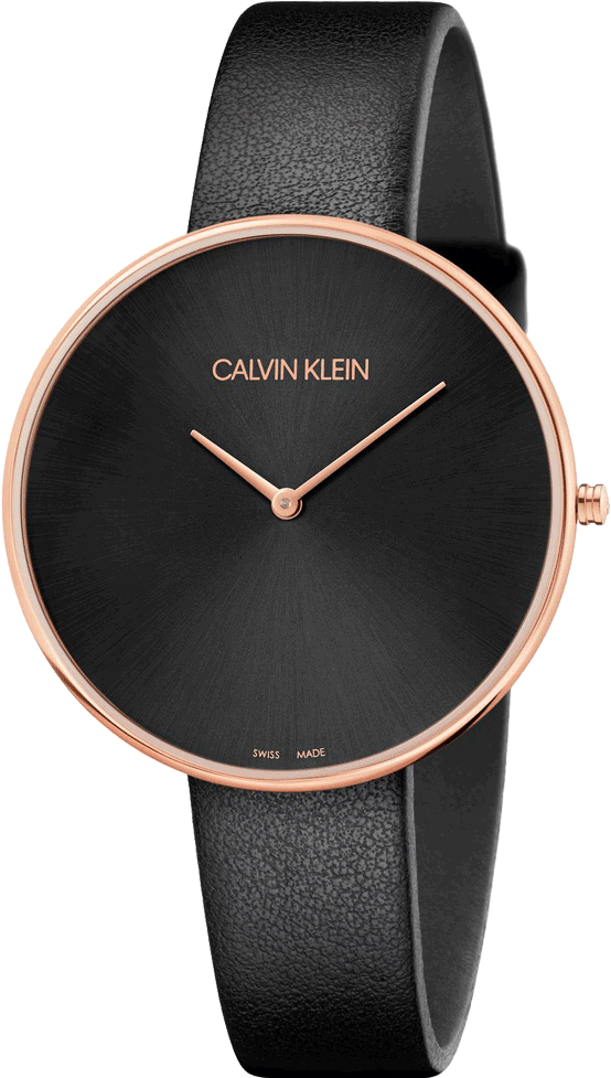 Calvin Klein Watches (845x1024), Png Download
