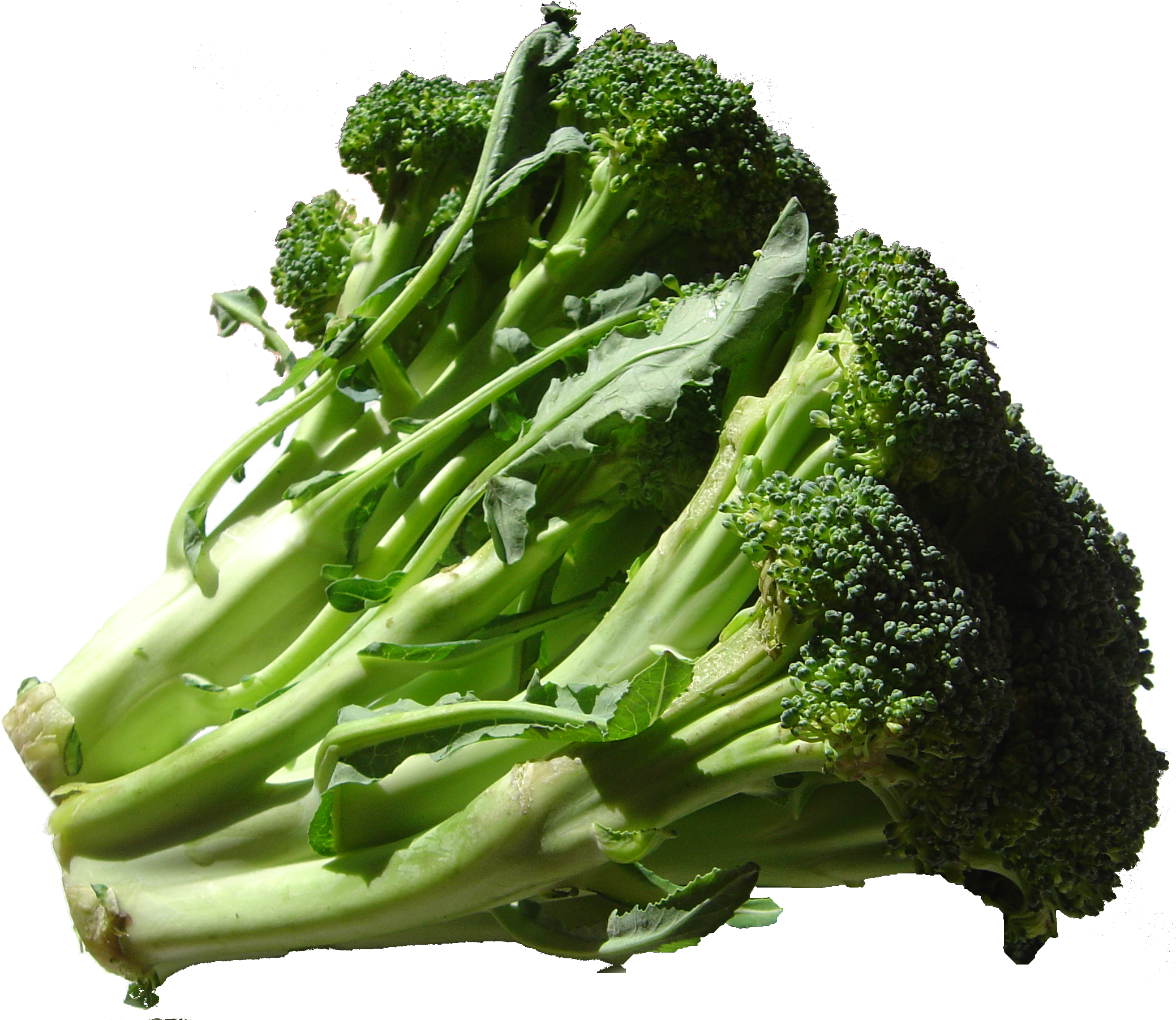 Broccoli Dsc00862 - Potassium Meaning (2078x1802), Png Download