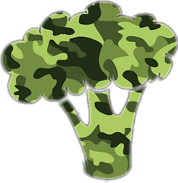 Camouflage Shoes Style 2017 (586x604), Png Download