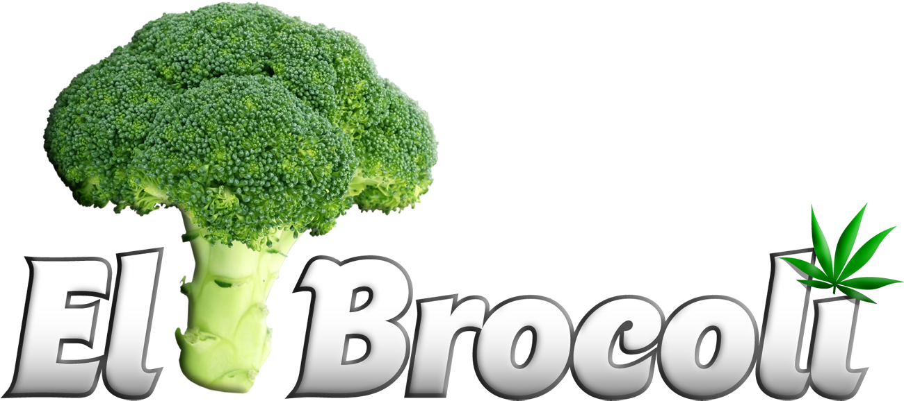 Clic Aquí Para Ir A Psiconautas - F & V - Broccoli Design Round Ornament (1299x654), Png Download