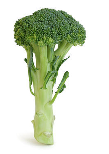Brocoli-fw - Food (600x600), Png Download