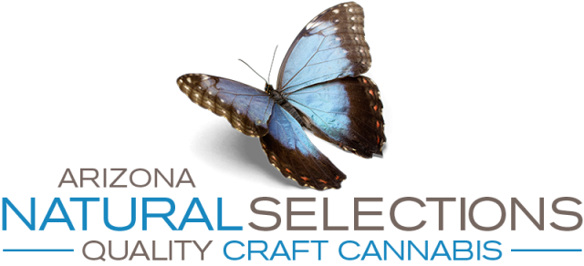 The Medical Marijuana Program Is In Jeopardy And We - Gioconda By Lucille Turner (640x292), Png Download