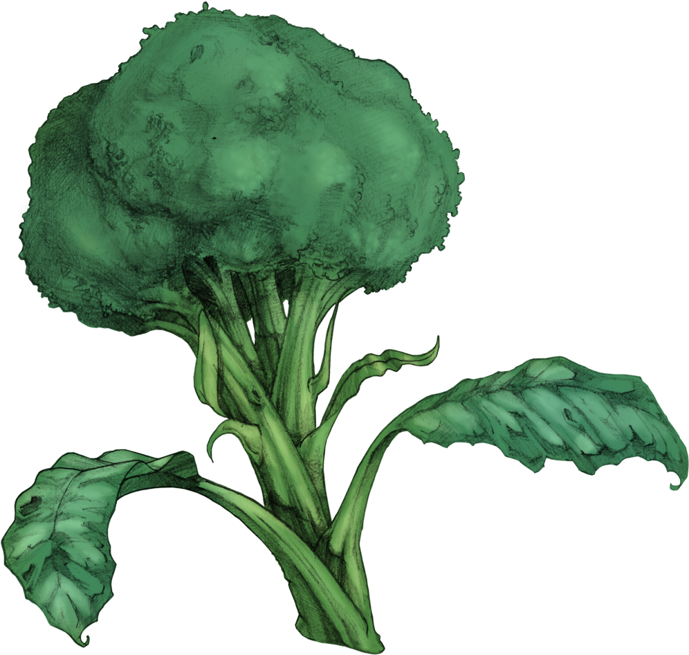 Prev / Next (1000x1000), Png Download