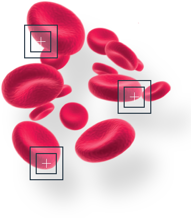 Computer Vision Instead Of Traditional Coulter Counting - Red Blood Cell (428x480), Png Download