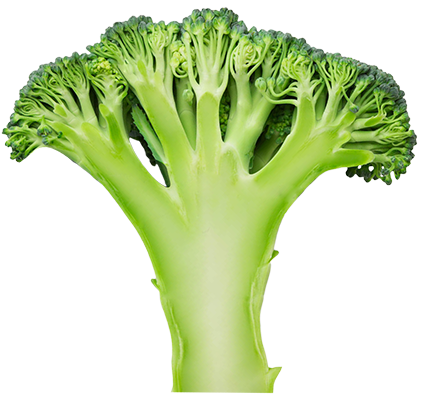 Nutritionals Values - Broccoli (422x427), Png Download