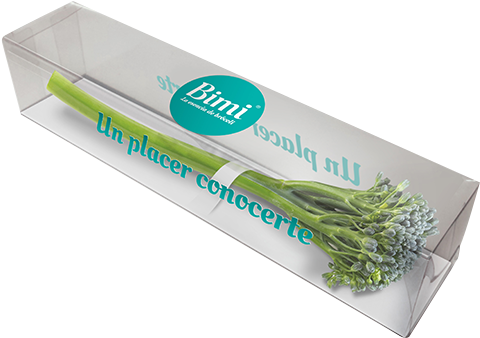 Brocoli Bimi Destacado Compralo Tr - Comprar Bimi (577x373), Png Download