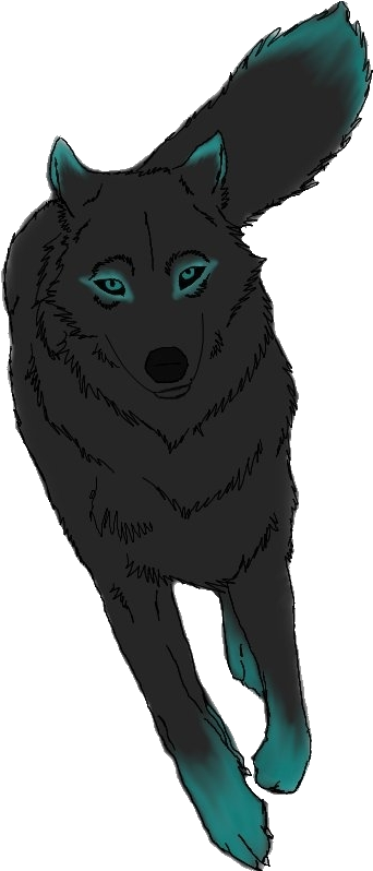 Wolf Png - Wolf With Clear Background (800x800), Png Download
