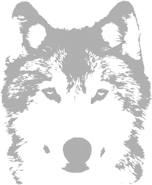Wolfvpro Background - Graffiti Wolf (1102x620), Png Download