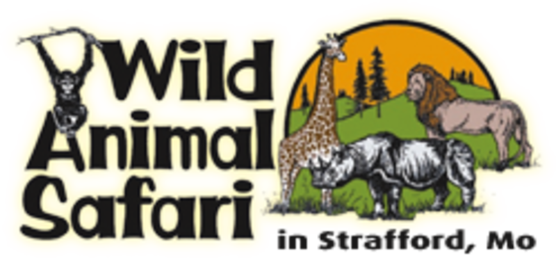 Download Wild Animal Safari Wild Animal Safari Springfield Mo Png Image With No Background Pngkey Com Download Wild Animal Safari Wild Animal Safari Springfield Mo Png Image With No Background Pngkey Com