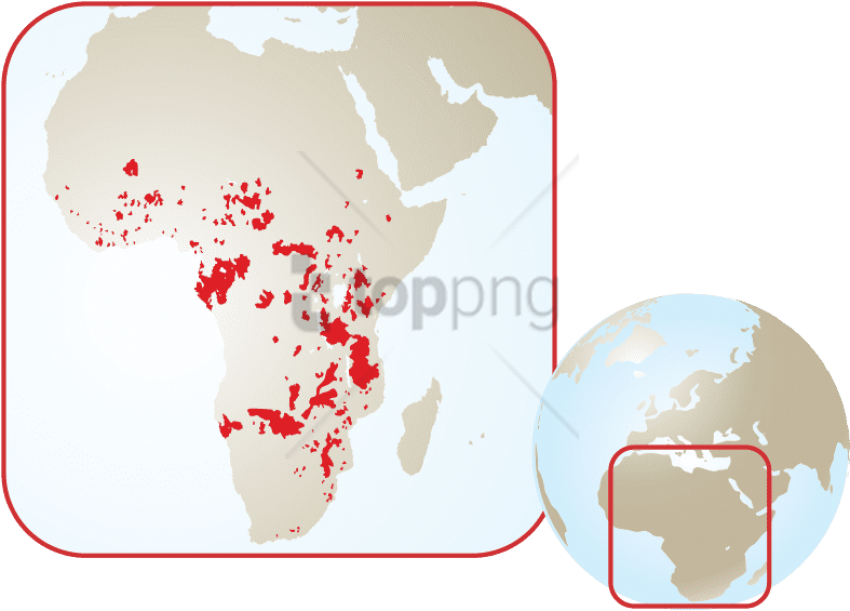 Animals Menu - African Elephant Habitat (796x582), Png Download