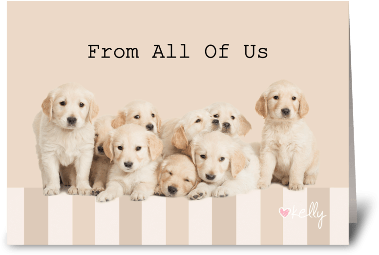 Golden Retriever Puppies From All Of Us Greeting Card - Golden Retriever (848x698), Png Download