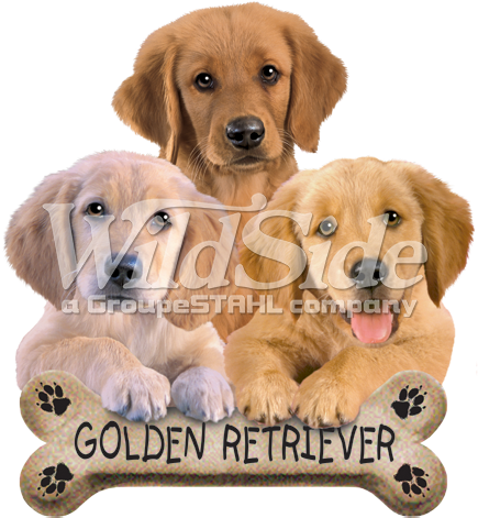 Golden Retriever Biscuit - Magnetic Golf Ball Marker Hat Clip Golden Retreivers (525x525), Png Download