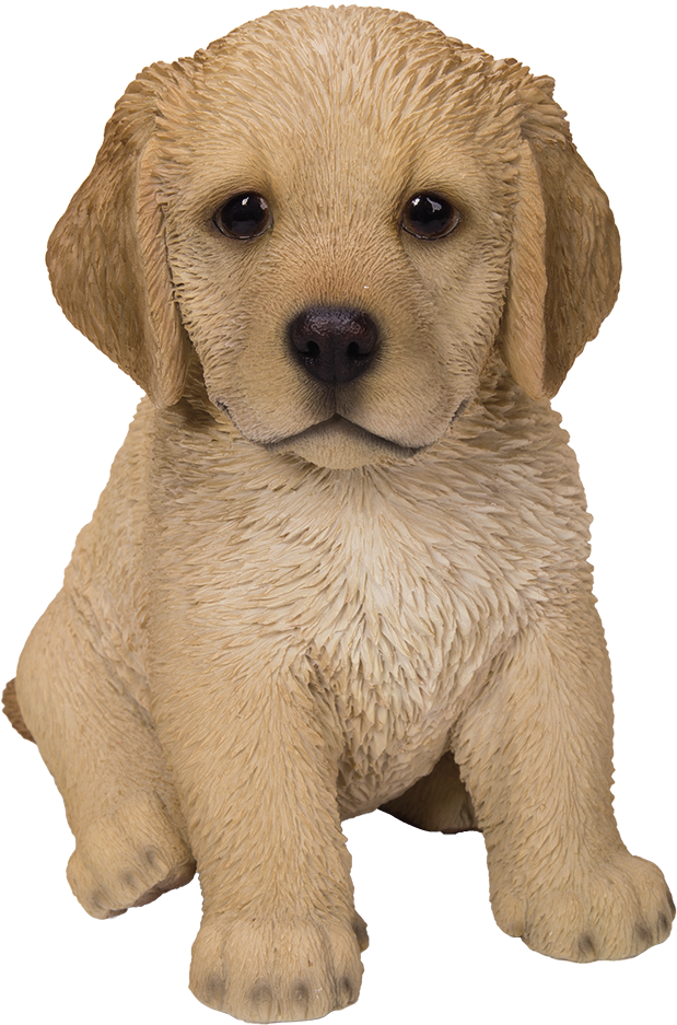 Cute Fluffy Golden Retriever Puppy Statue Life Like - Dog (1000x1000), Png Download