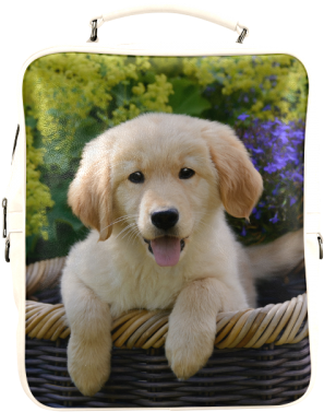 Cute Young Golden Retriever Dog Goldie Puppy Portrait - Coque Iphone Se Anilaux (500x500), Png Download