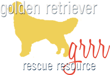 Golden Retriever (400x311), Png Download