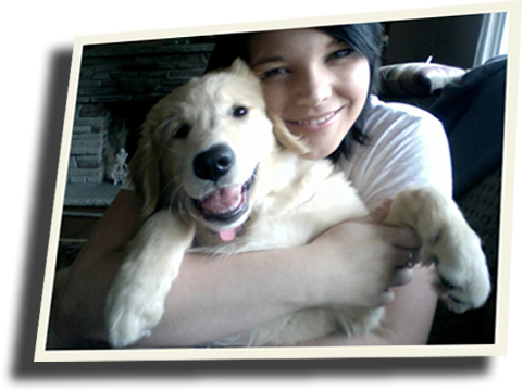 Newfoundland Newfie Retriever Puppy - Great Pyrenees (481x360), Png Download