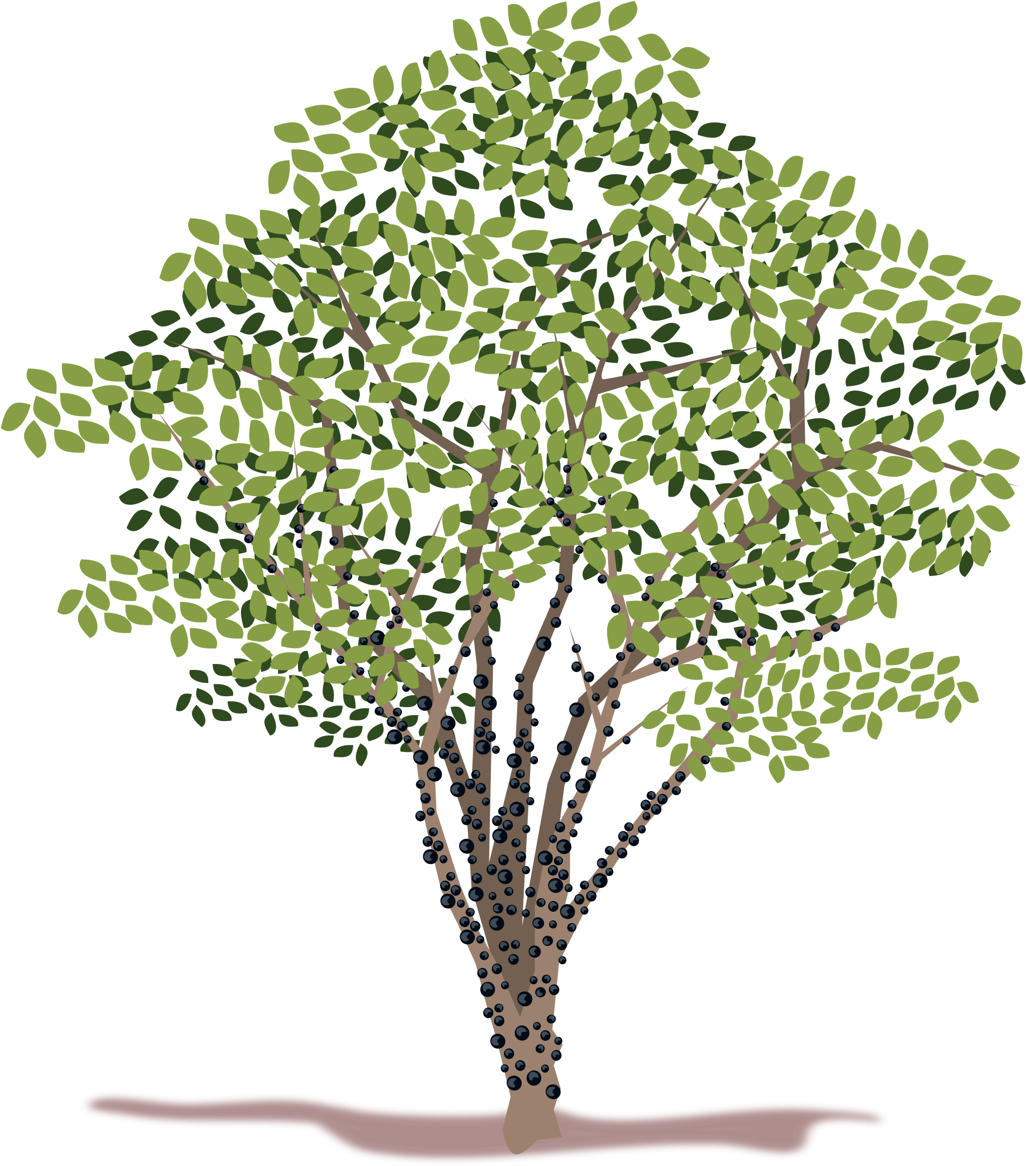 Spring Tree Vector Clipart - Tree (2400x2400), Png Download