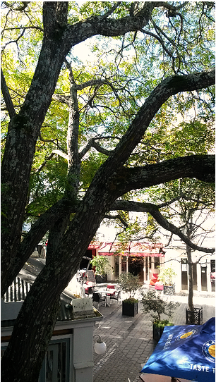 Tree - House (800x541), Png Download