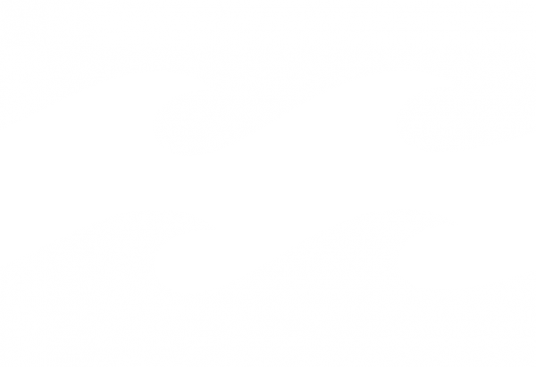 Download Billabong Logo Png Download Silhouette Png Image With No Background Pngkey Com