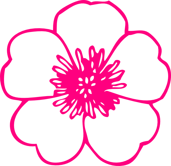 How To Set Use Pink Daisy Clipart - Flower Clipart Black And White Outline (600x582), Png Download