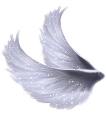 Transparent Angel Wings Tumblr Wings Png Wings Png - Wings Image Png Transparent (393x400), Png Download