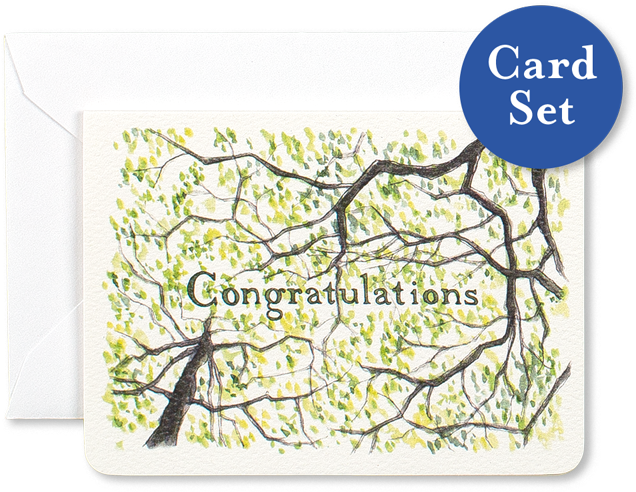 Congratulations Gleditsia Mini Card Set Of - Etsy (1000x867), Png Download