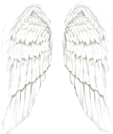 Angel Wings Transparent Tumblr - Angel Wings (500x666), Png Download
