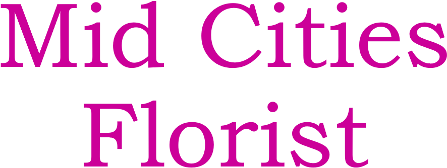 Flotsam And Jetsam: The Collected Adventures, Opinions, (1500x584), Png Download