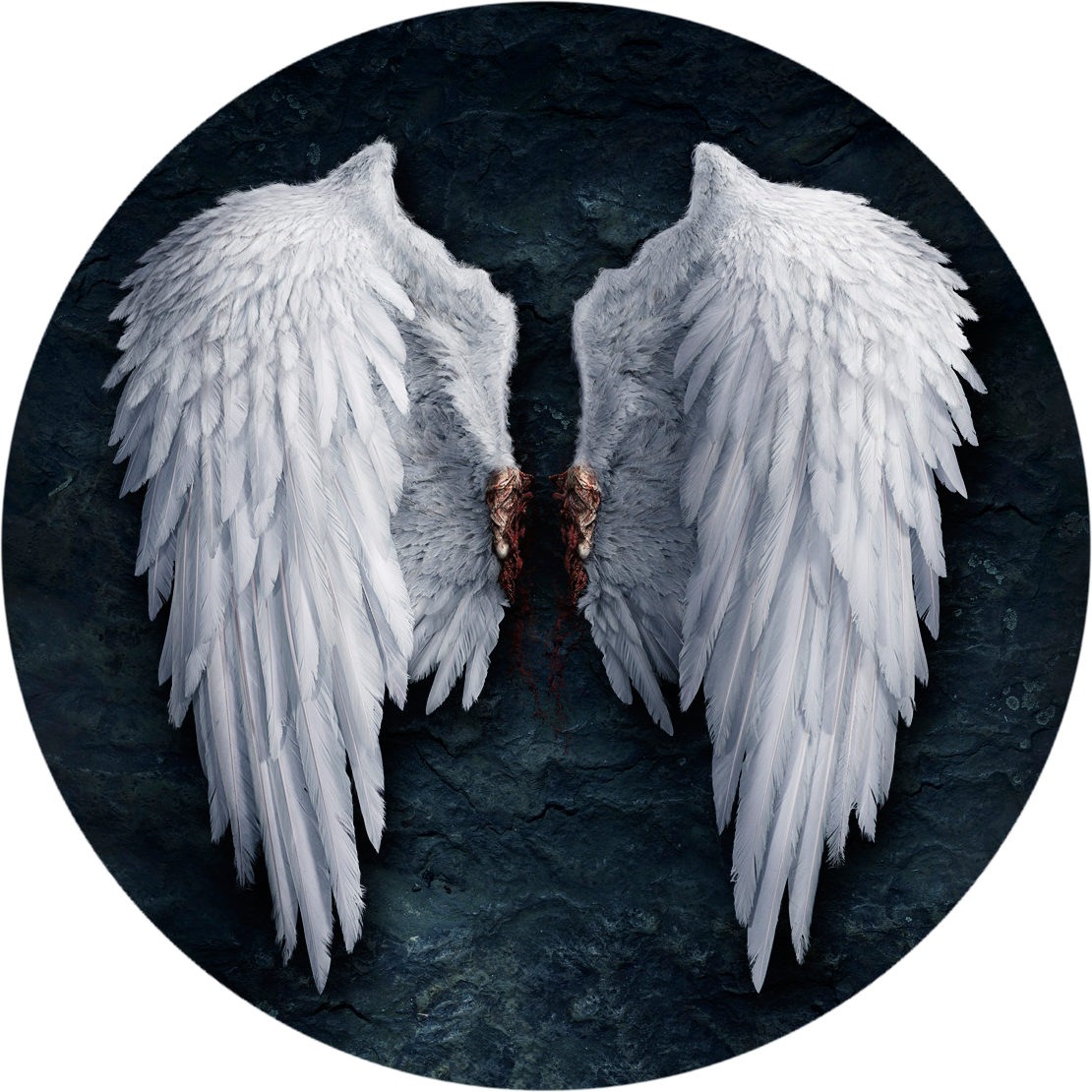 White Angel Wings Transparent - Realistic Angel Wing Drawing (1110x1110), Png Download