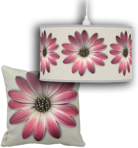 Daisy Flower Power Is A Feminine Modern Collection, - Common Daisy (466x500), Png Download