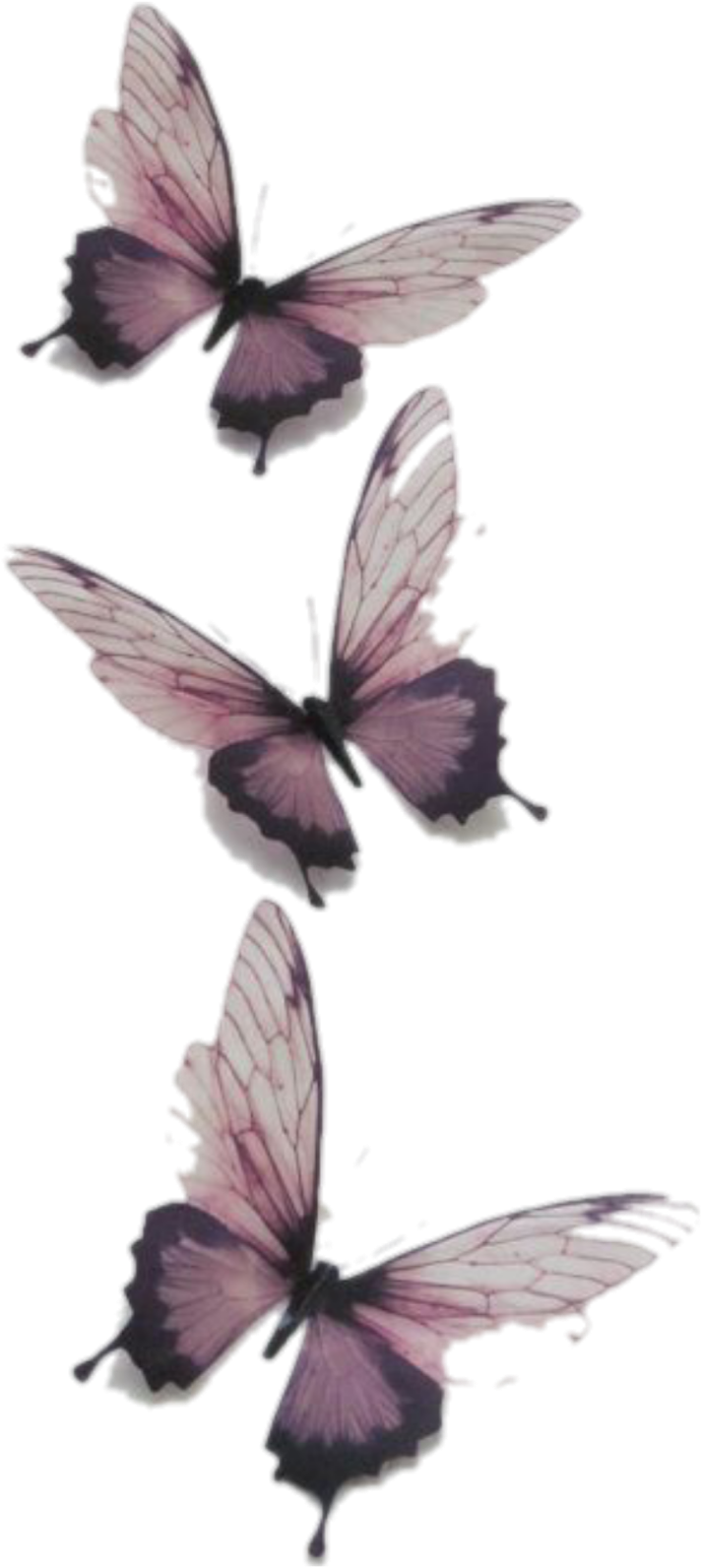 Butterfly Butterflies Vintage Transparent Tumblr Png - Tattoo (2289x2289), Png Download