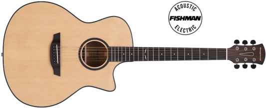 Fender Fc 100 (600x246), Png Download