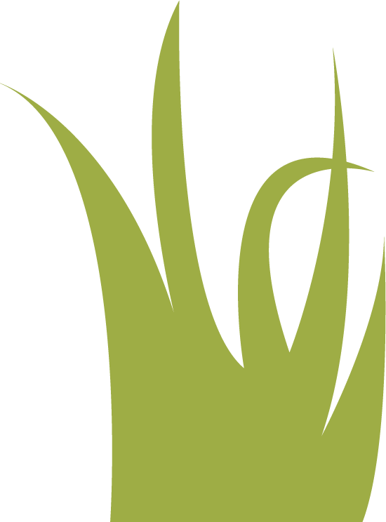 Clipart Mountain Lake Free Vector The Mountain Lake - Clip Art (550x744), Png Download