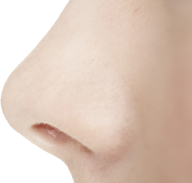 Human Nose Png - Nose Transparent (388x368), Png Download