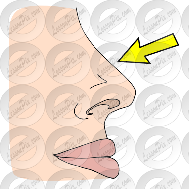 Nose Picture For Classroom / Therapy Use Great Nose - Clip Art (380x380), Png Download