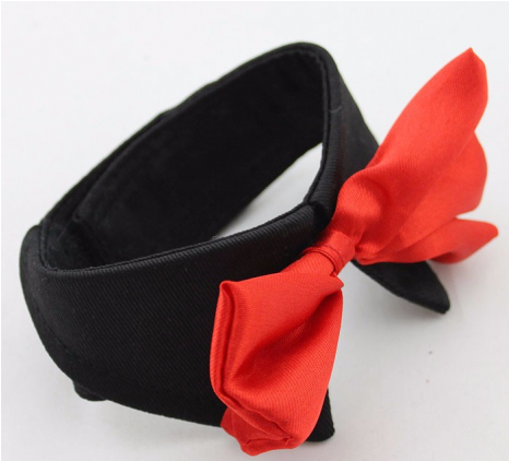 Dog (465x540), Png Download