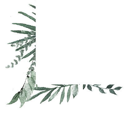 Leaf Scroll Clipart 758 - Christmas Tree (400x383), Png Download