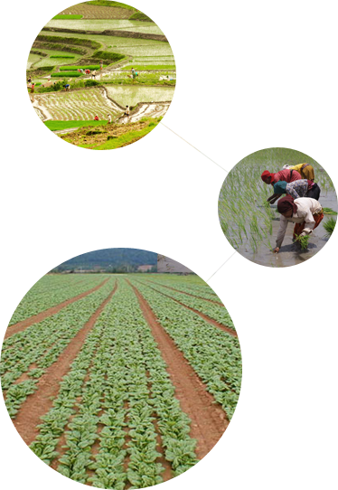 Continue Reading - Circle (374x542), Png Download