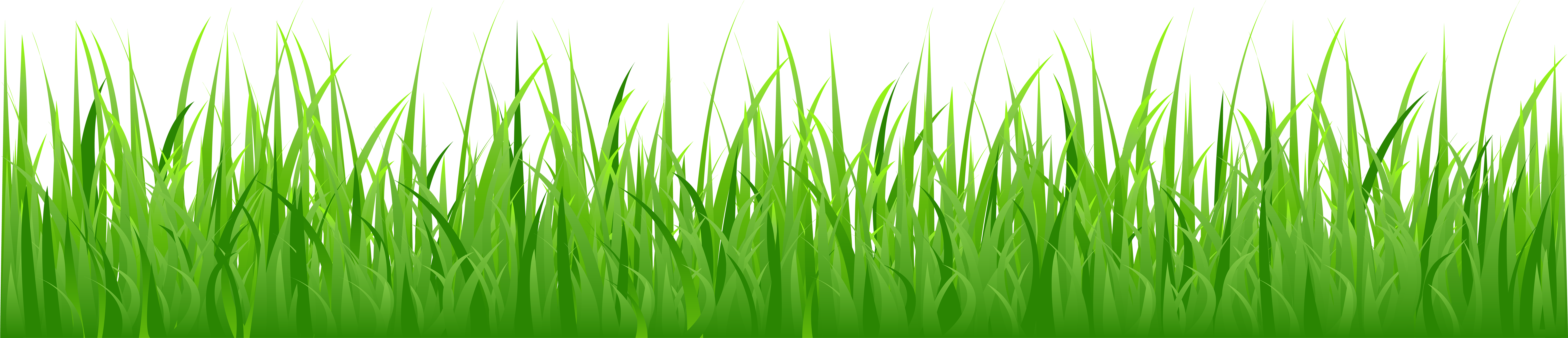 Cartoon Grass Png (8000x1799), Png Download