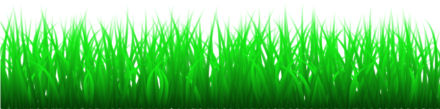 Big Grass Clipart Lawn Clip Art - Grass Pdf (900x300), Png Download