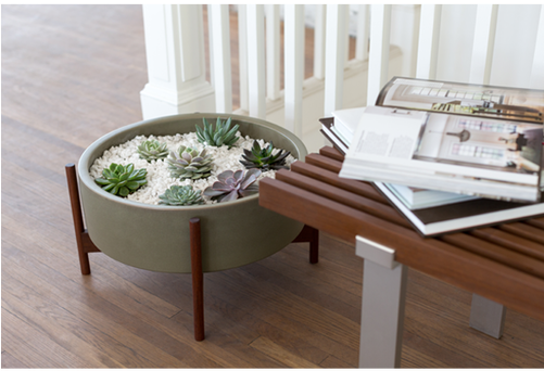 Case Study Raised Low Pan With Wood Stand - Coffee Table (500x500), Png Download
