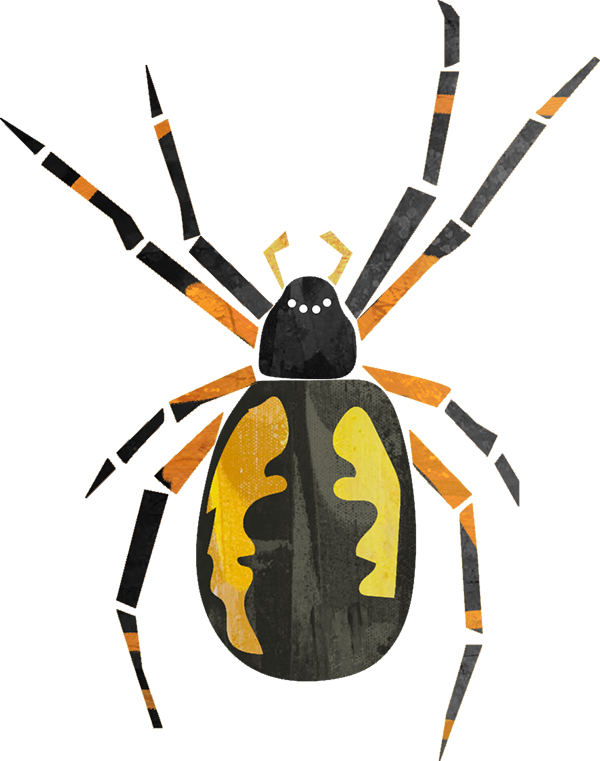 Returning This Summer - Araneus Cavaticus (600x761), Png Download