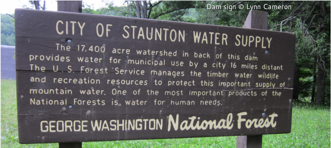 An Engineering Marvel In The National Forest - Bridal Veil Falls (872x292), Png Download