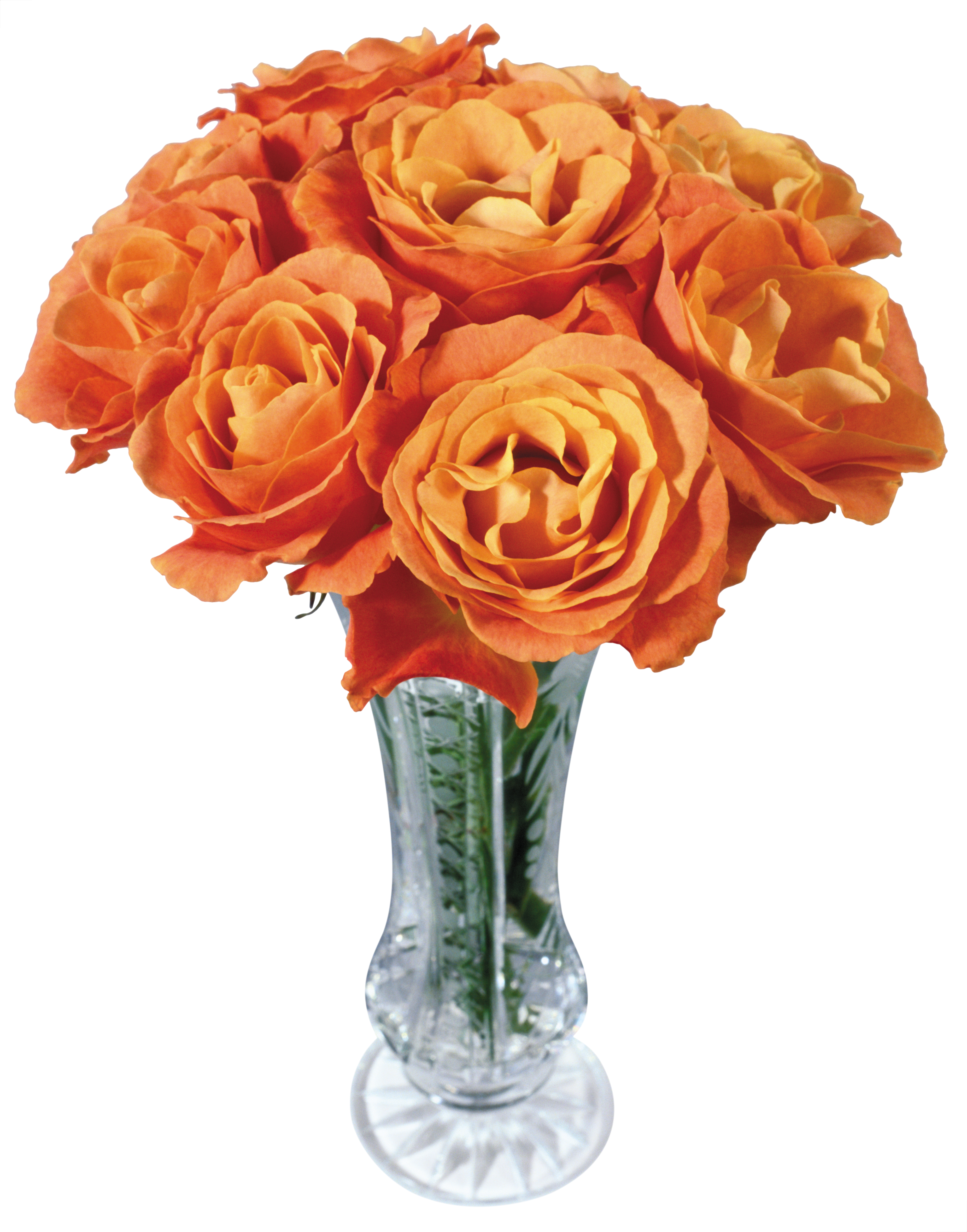 Vase Png - Orange Roses Flower Png (3703x4718), Png Download