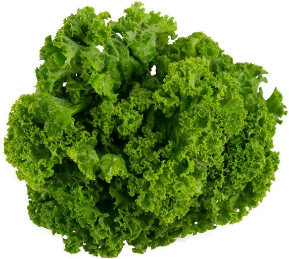 Lettuce Transparent Png Image - Collard Greens Transparent Background (866x650), Png Download