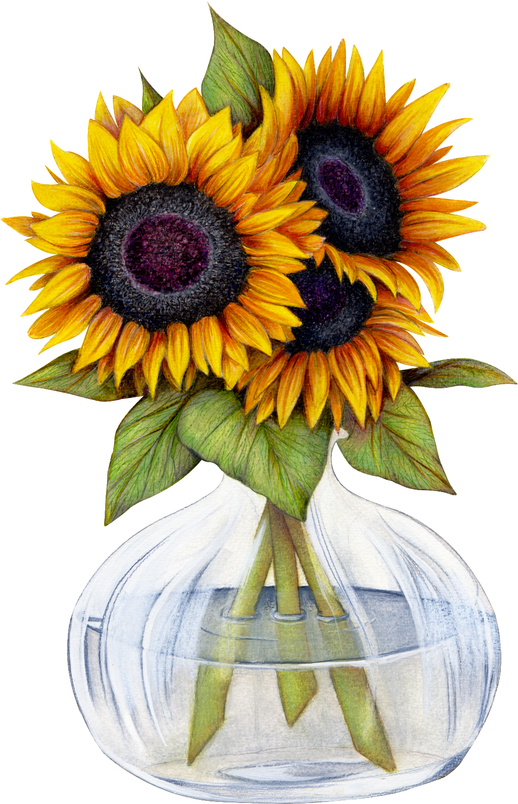 Beautiful Sunflower Flower Png Transparent - Want To Be Like A Sunflower (1024x1588), Png Download